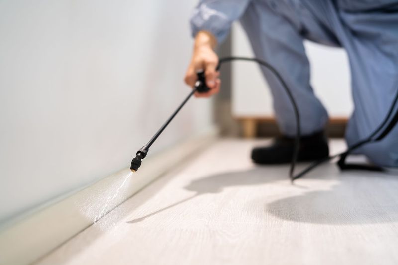 Ignoring pest prevention basics