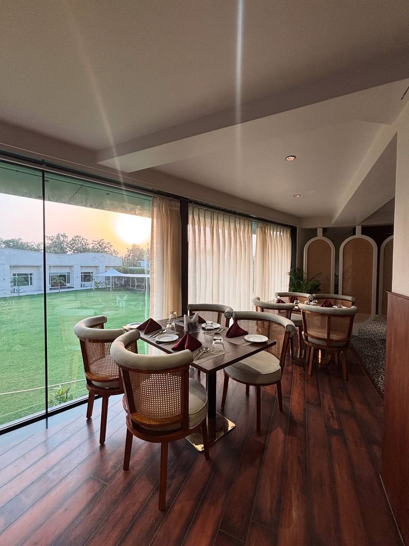 Soft natural lighting for cozy meals
