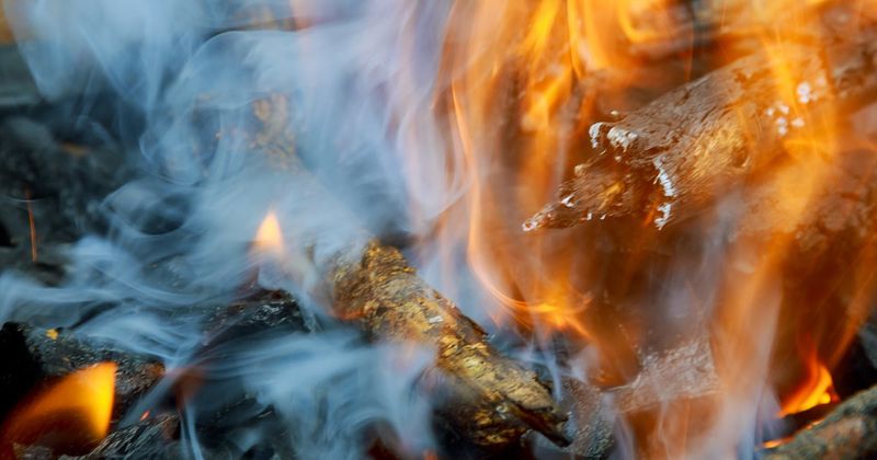Environmental Impact Concerns