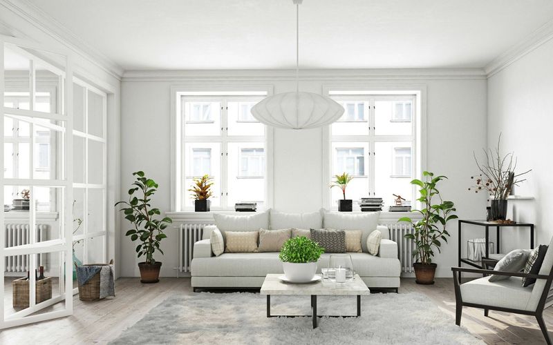 Large Scale Indoor Plants
