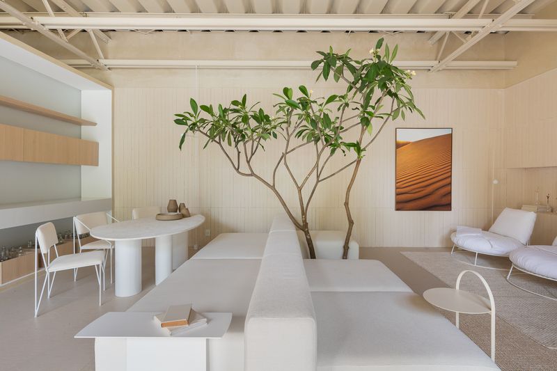 Neutral Color Palettes