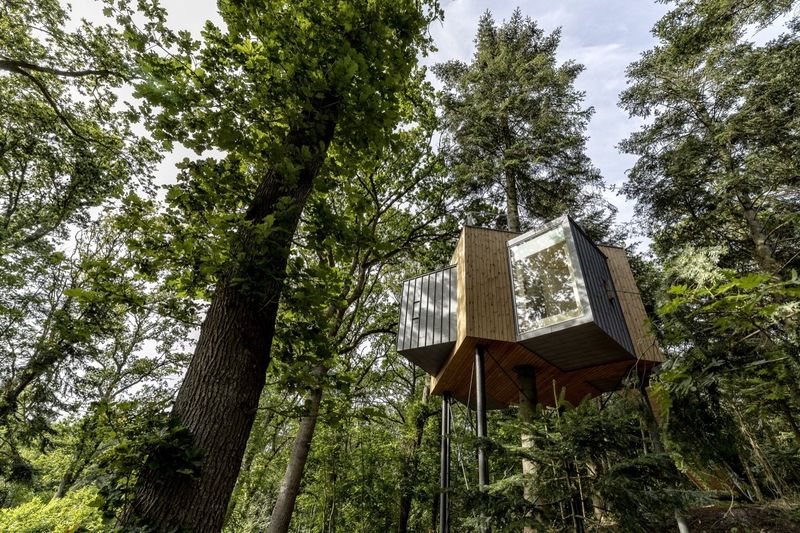 Floating Forest Cabin