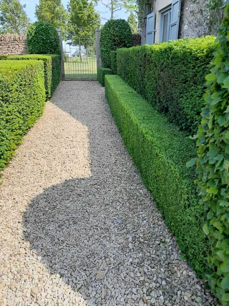 Trimmed Hedges