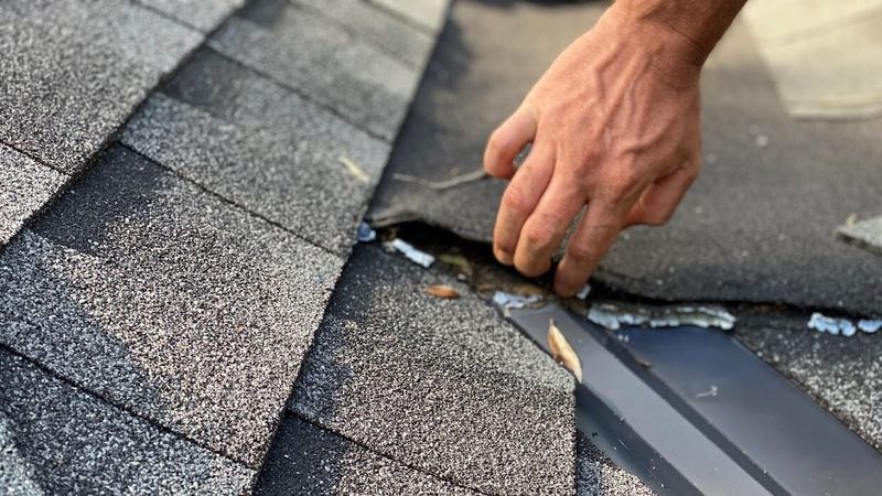 Roof Inspection Basics