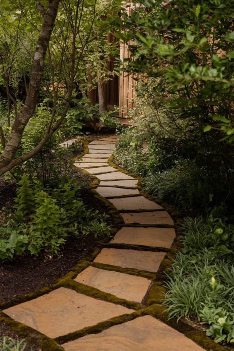 Stepping Stone Pathway