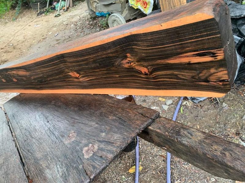 Exotic Wood Pieces Like Ebony Or Rosewood