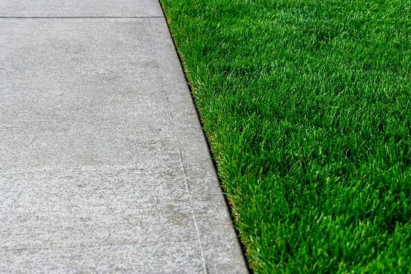 Edge Your Lawn Along Walkways