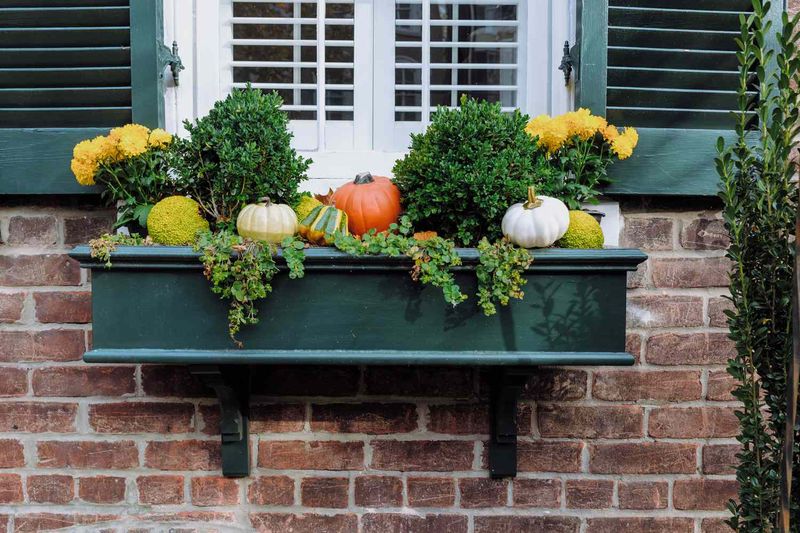 Build Custom Window Planters