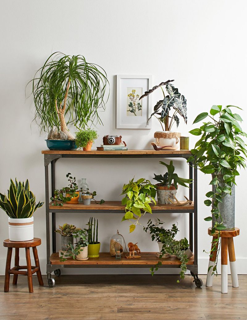 Grouping With Smaller Plants