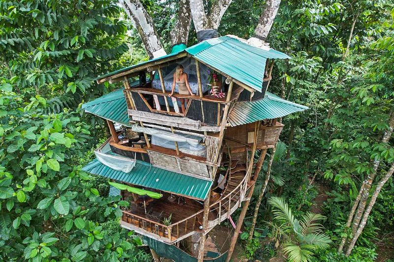 Treehouse Lodge Costa Rica