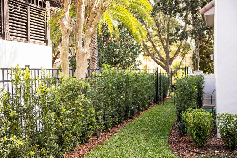Landscaping Simplified and Cleaned Up