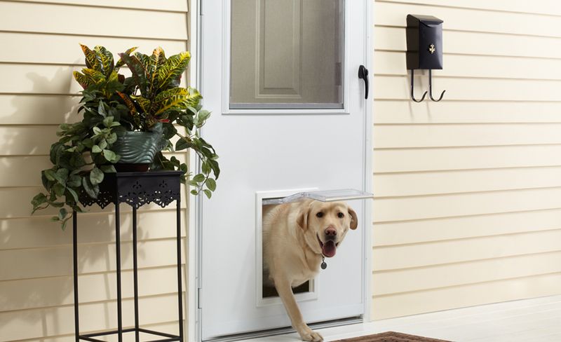 Pet-Unfriendly Design