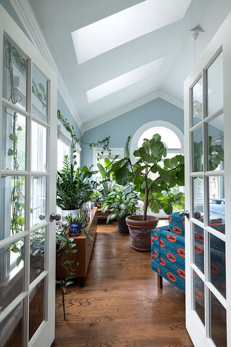 Strategic Skylights