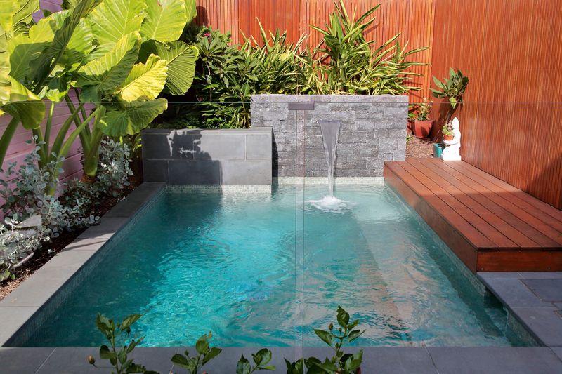 Plunge Pool