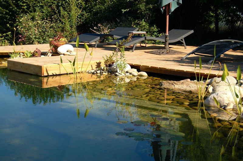 Create A Natural Swimming Pool