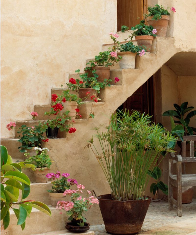 Add Potted Plant Corners