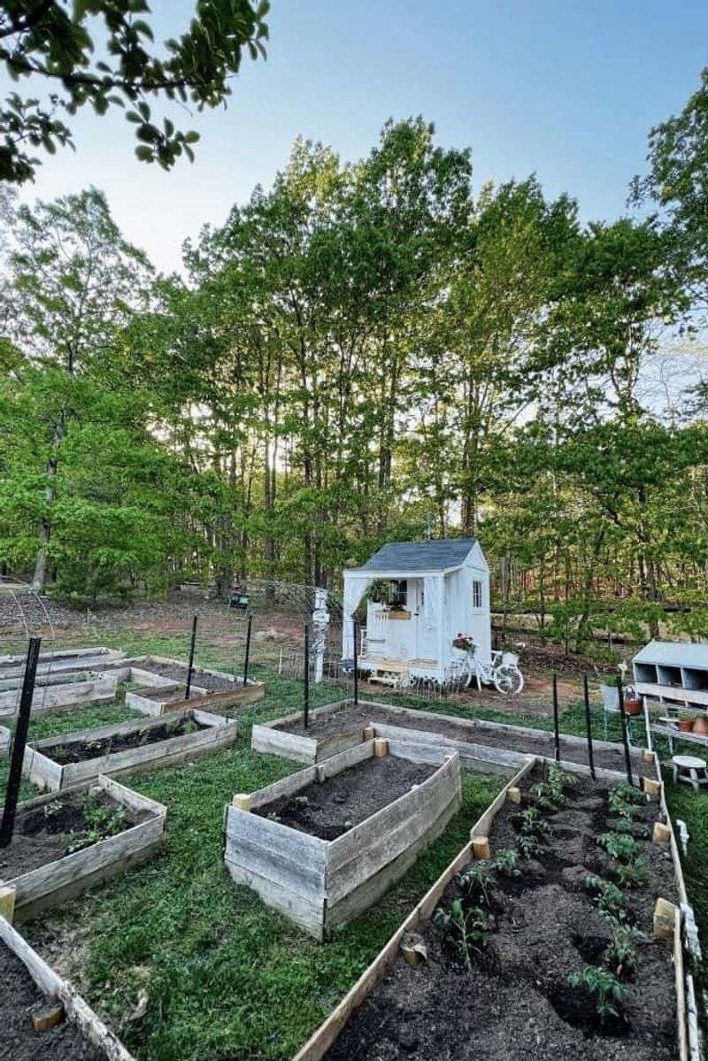 Surround With Raised Garden Beds