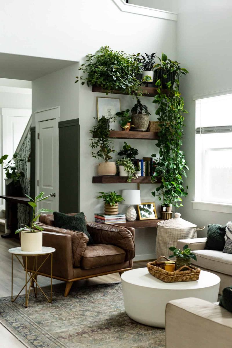 Create a Plant Display