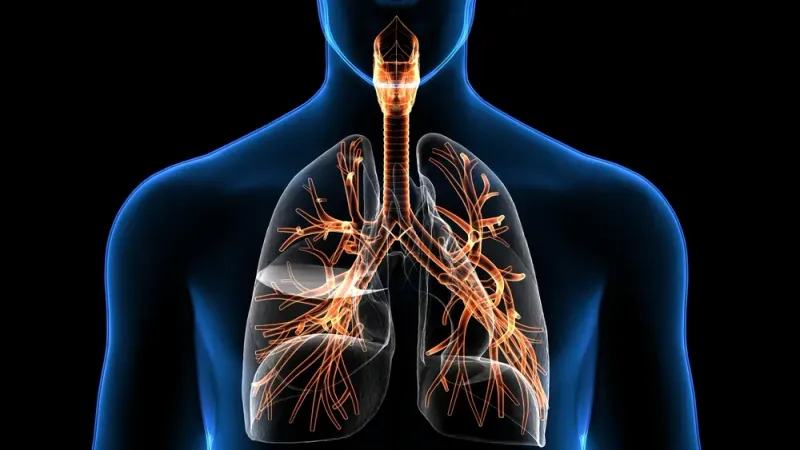 Allergies And Sensitivities Worsen