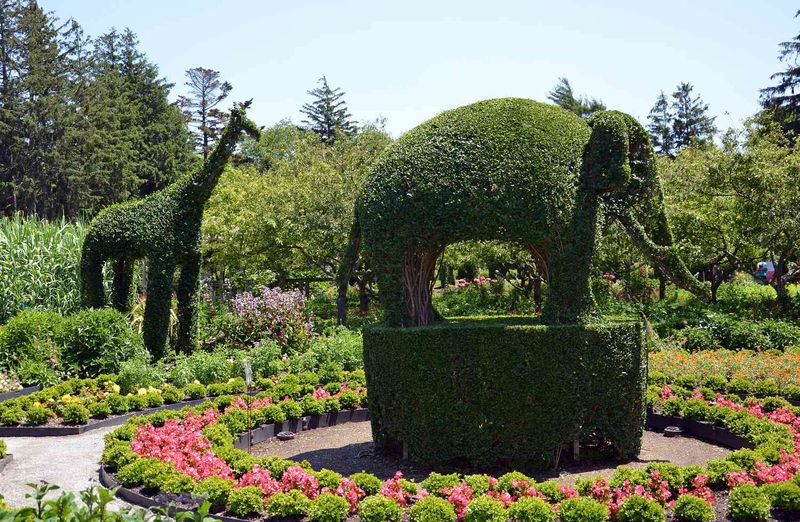 Towering Topiary Animals