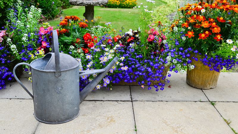 Vintage Watering Cans And Garden Accessories