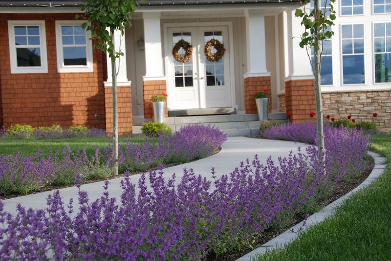 Border With Appropriate Plantings