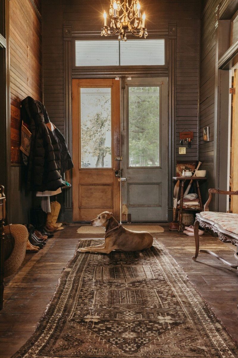 Earthy Brown Entryways