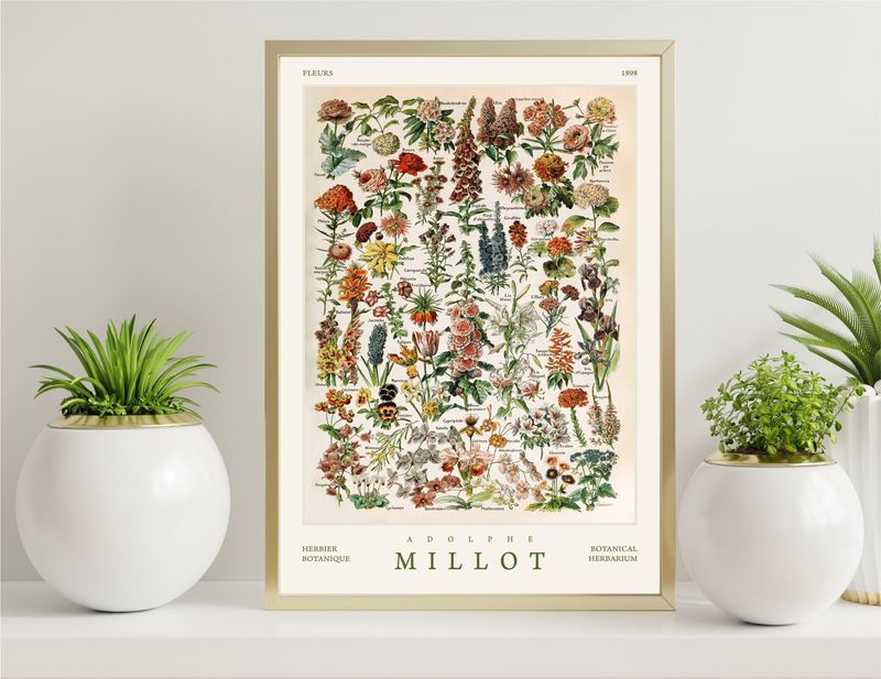 Botanical Illustrations