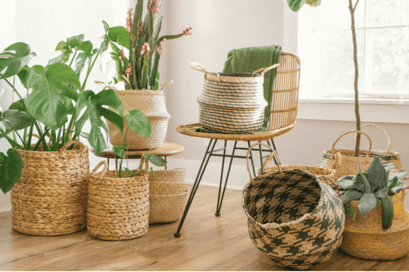 Woven Baskets Overflowing With Plants