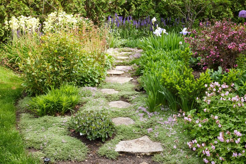 Winding Garden Pathway