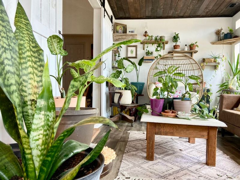Bring Nature Indoors