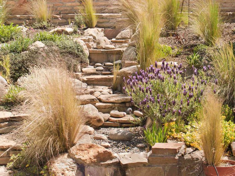 Terraced Rock Display