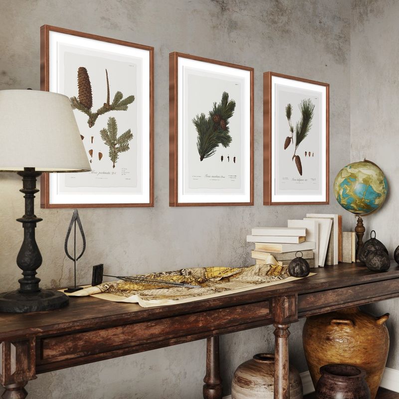 Vintage Botanical Prints And Illustrations