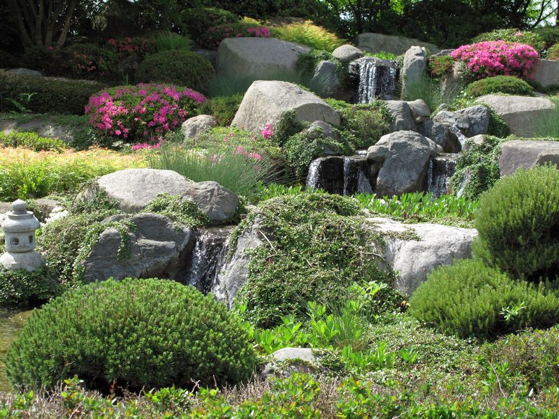 Rock Garden Masterpiece