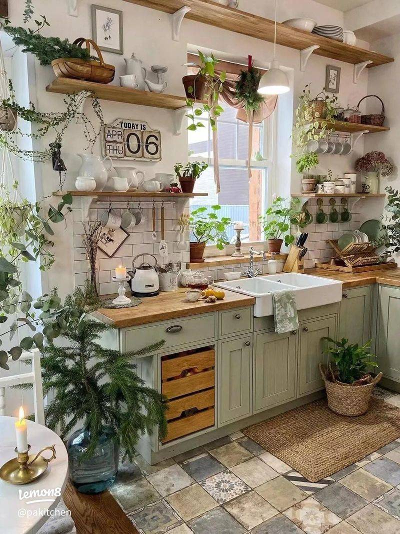 Indoor plants adding life and freshness