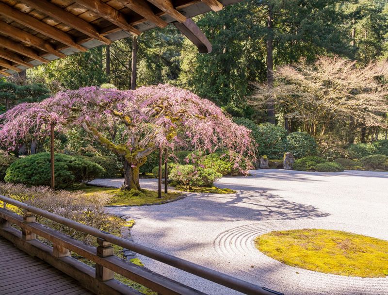 Cherry Blossom Seasonal Joy
