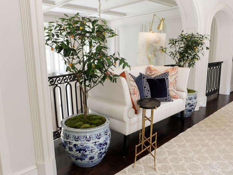 Flanking Furniture