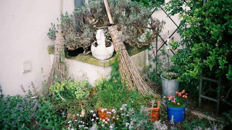 Overly Themed or Kitschy Garden Decor