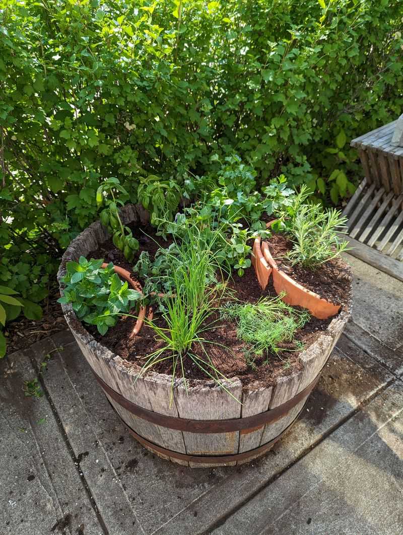 Dirty or Cracked Planters