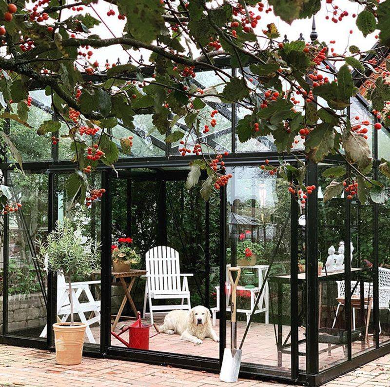 Greenhouse-Style BBQ Conservatory