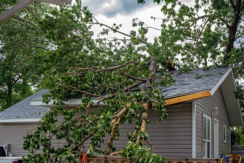 Recent Severe Weather Events