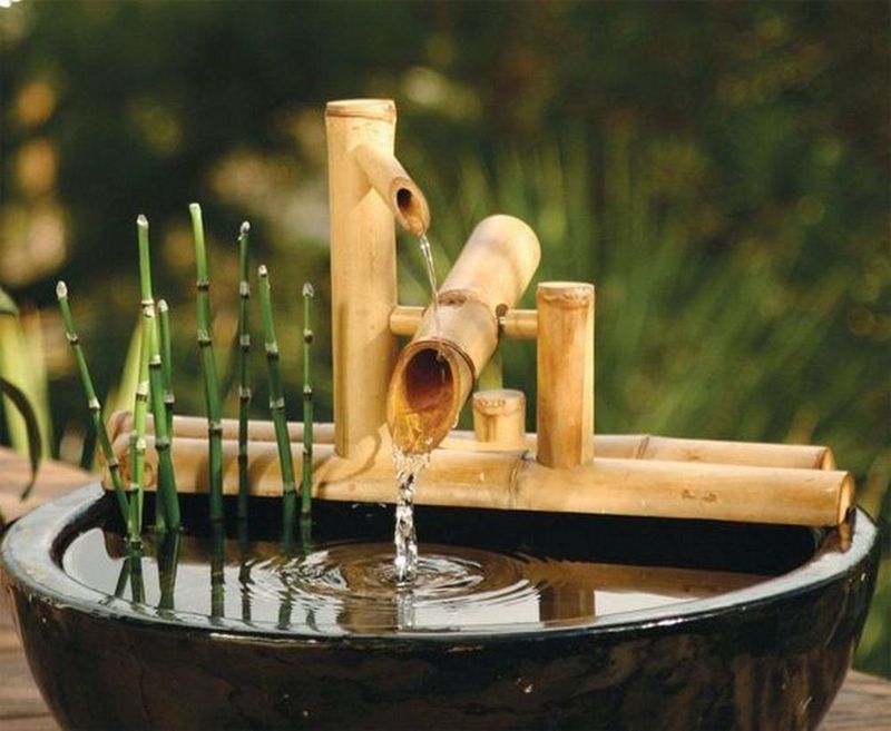 Water Feature Focus