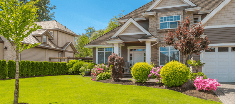 Professional Landscaping