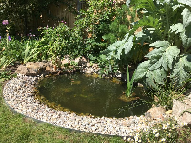 Rock-Edged Reflecting Pond