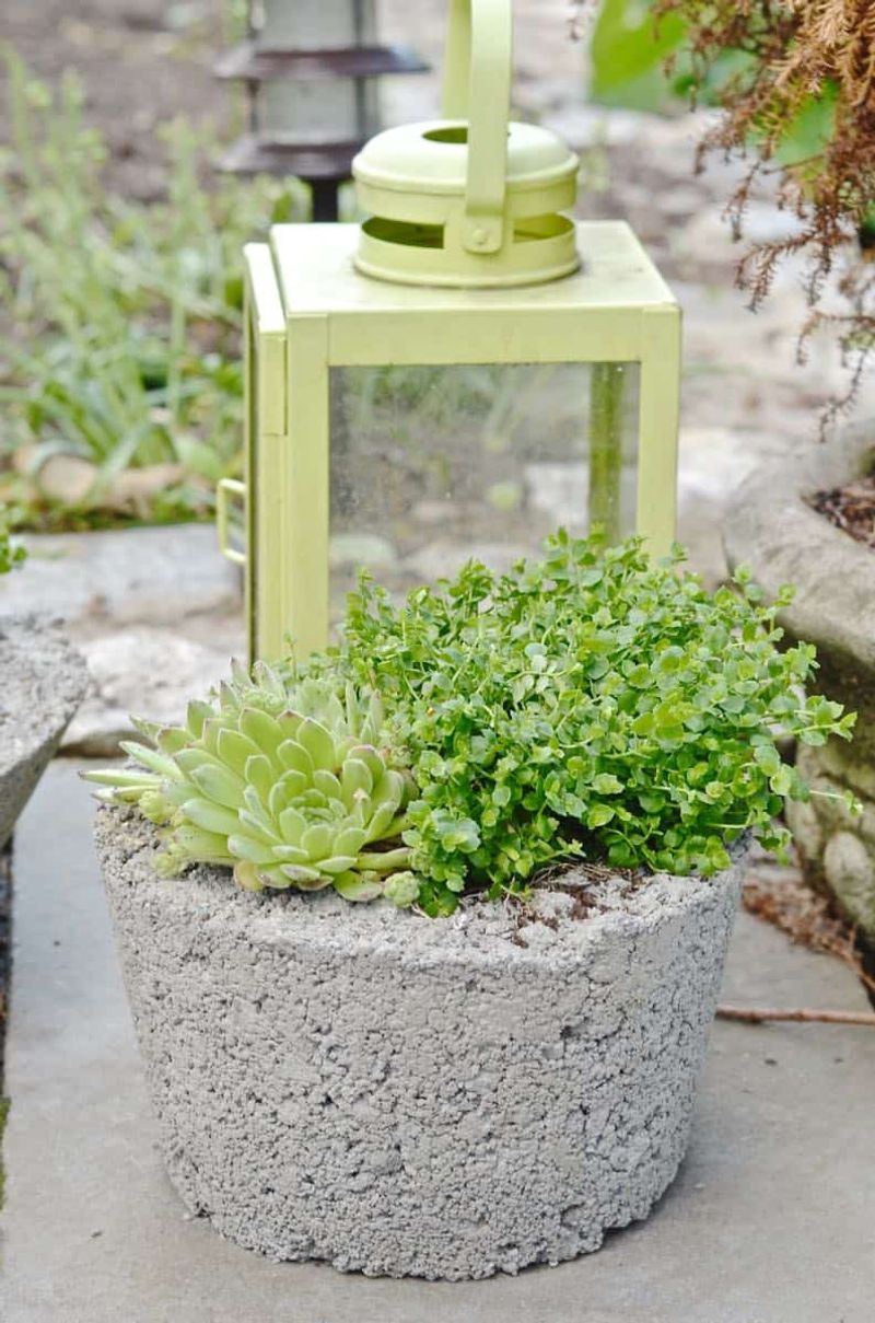 Broken Concrete Planters And Pots