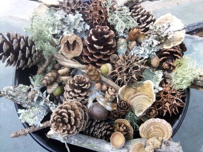 Pinecone Bowl Fillers