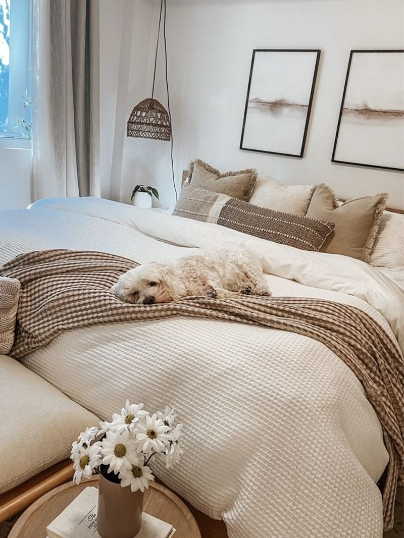 Layered Bedding Textures