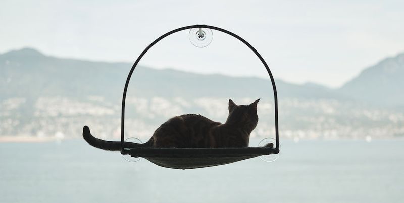 Window hammocks with sleek frames