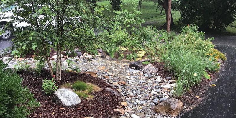 Rain Garden With Rocks