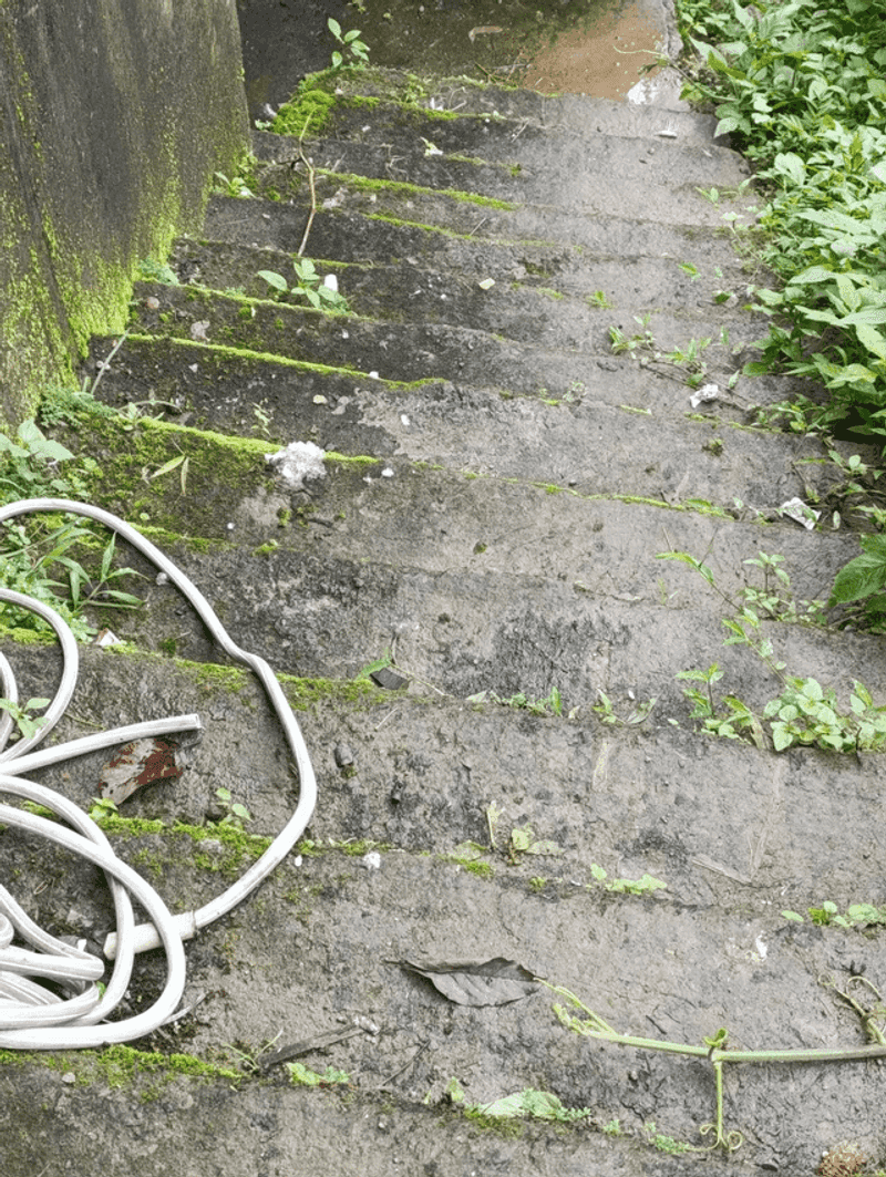 Mildew or moss buildup